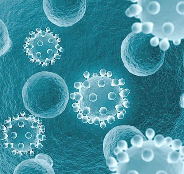 Bacteria in car air conditioners Bacteria in car air conditioners