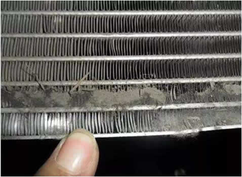 Bacteria in car air conditioner evaporator Bacteria in car air conditioner evaporator